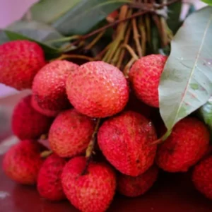 lychee health risks summer fruits