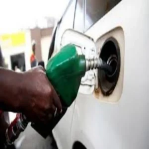 petrol diesel price stable update