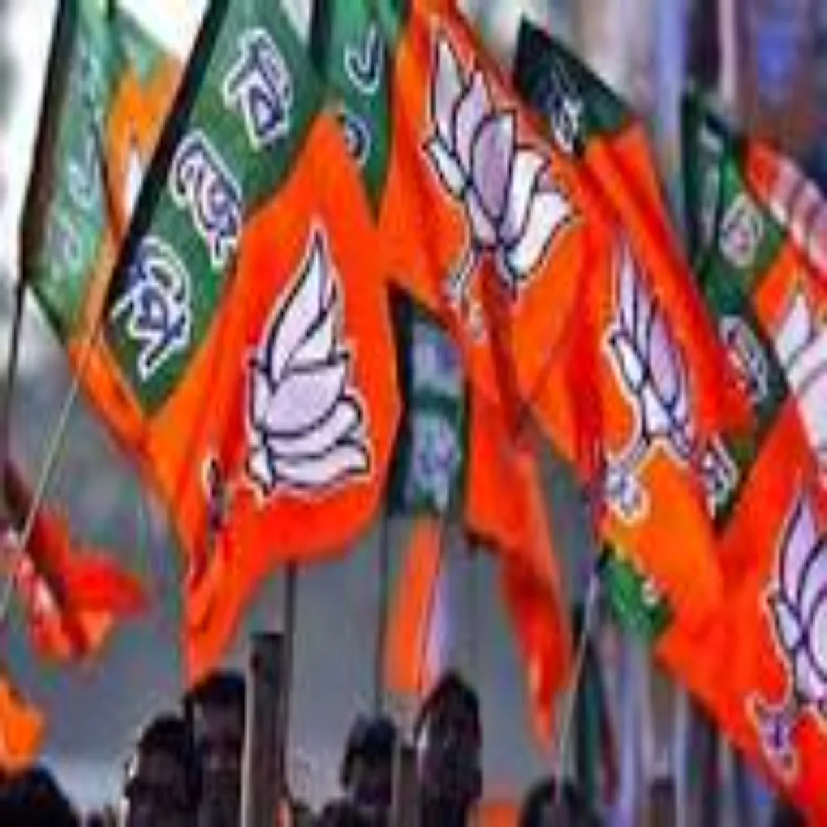 Politicalshift Politicalshift Sat Sansdon Vapsi Rashtrpti
