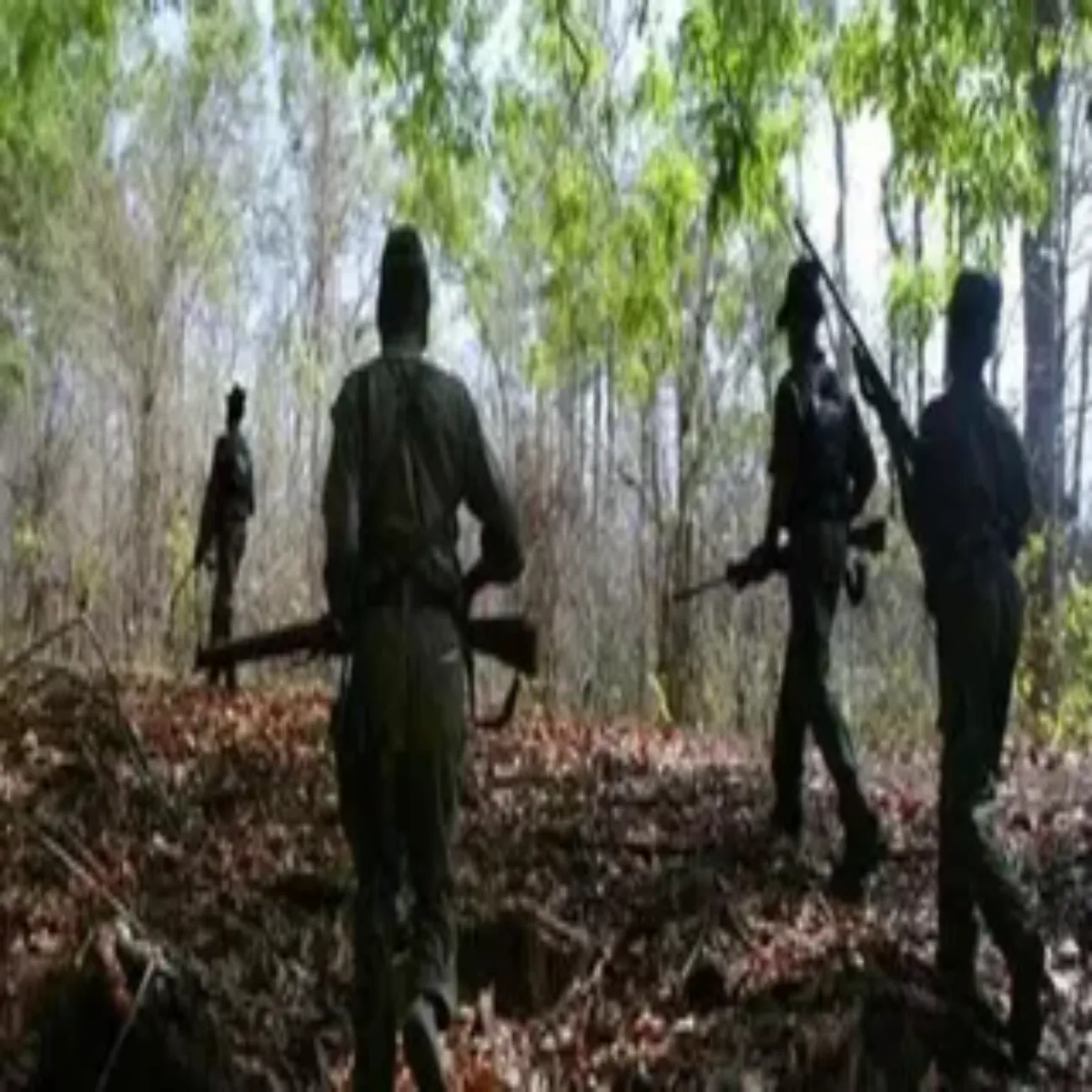 Naxalencounter Naxalencounter Podahat Jngl Men Surkshablon