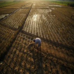 tamil nadu farm loan waiver news