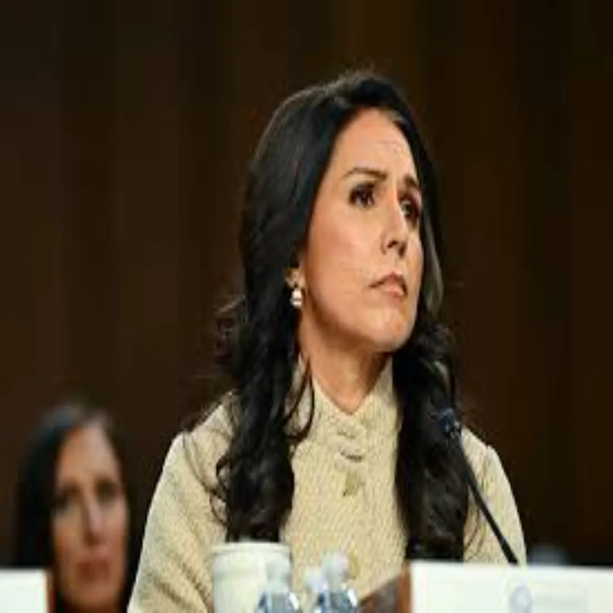 Tulsigabbard Tulsigabbard Rashtriy Khuphiya Nideshk Dengi