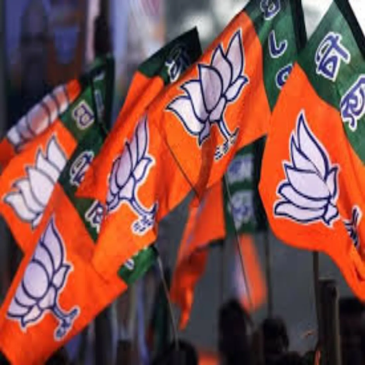 Upbjp Upbjp Prdesh Sngthn Men Bde