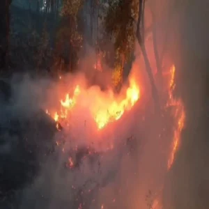 uttarakhand forest fire