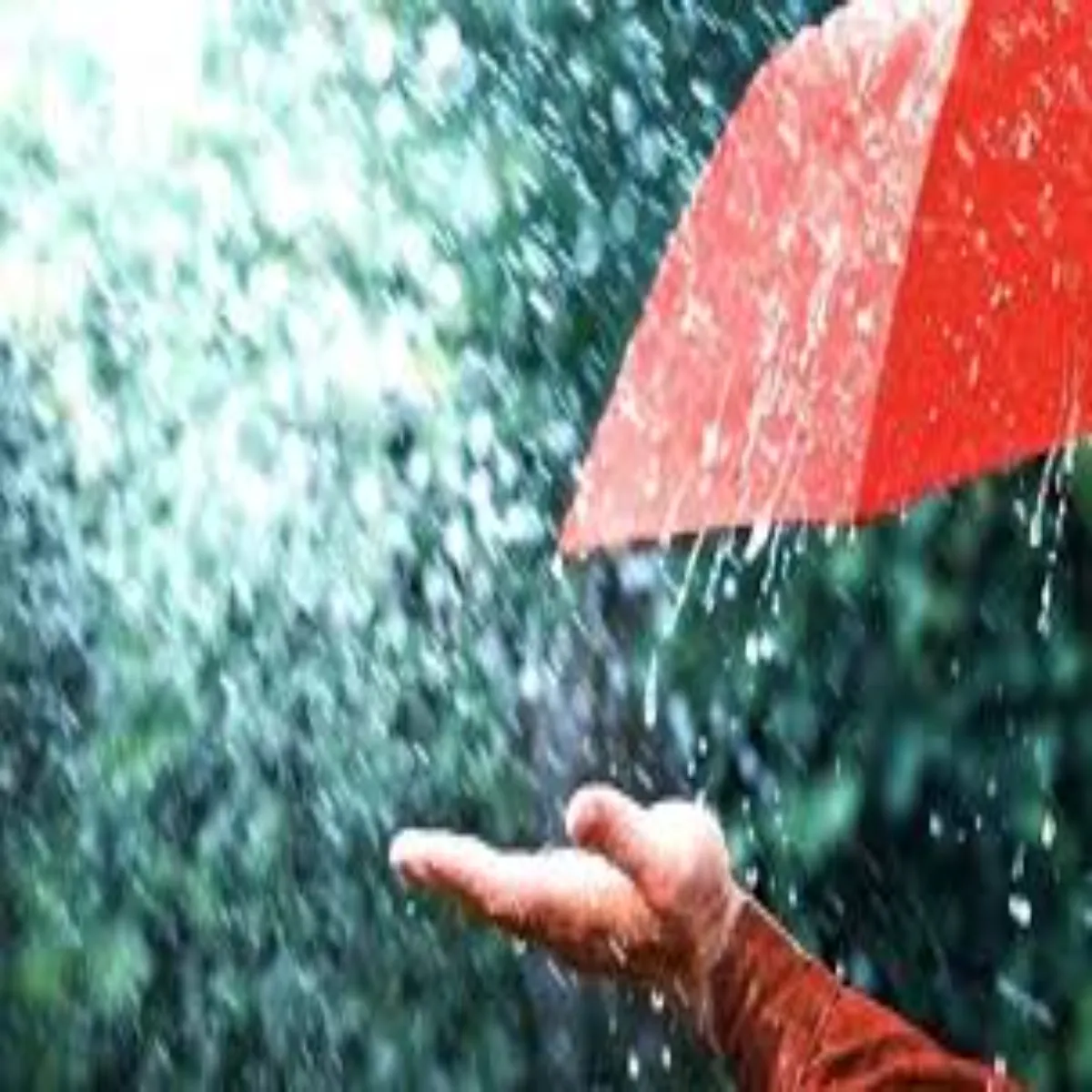 Weatheralert Weatheralert Uttrakhnd Maidani Ilakon Men