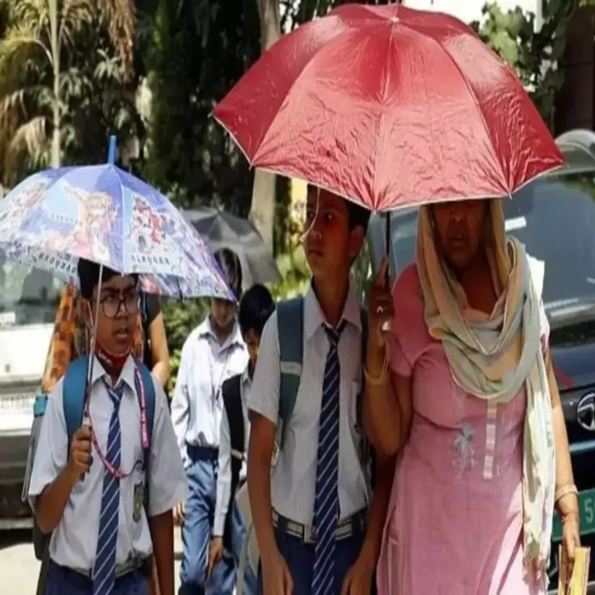 Heatwave Heatwave Varasi Men Bhish Grmi