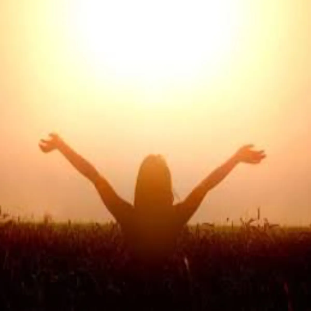Vitamind Vitamind Janen Seht Lie Kyon