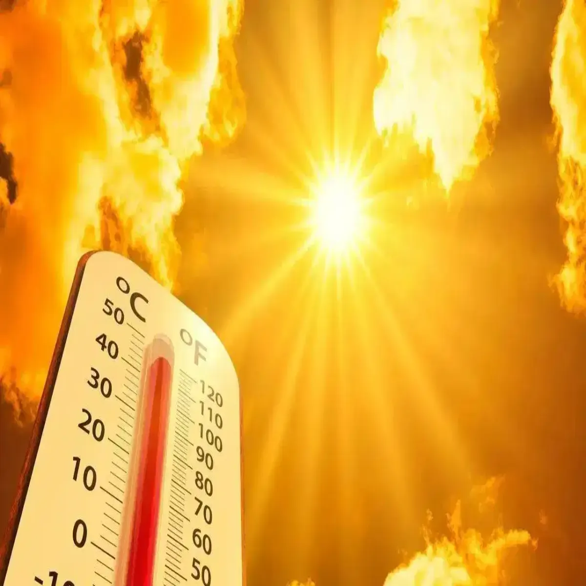 Heatwave Heatwave Pshchim Yupi Men Bhish