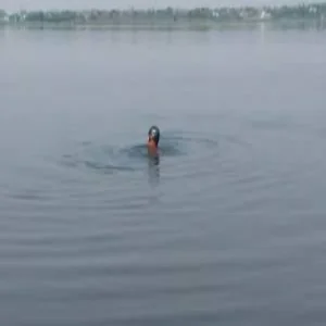 youngest swimmer pak strait record