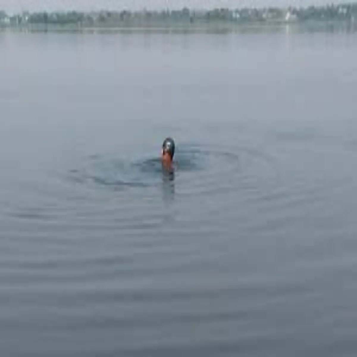 Swimming Swimming Sat Sal Eeshank Smudr