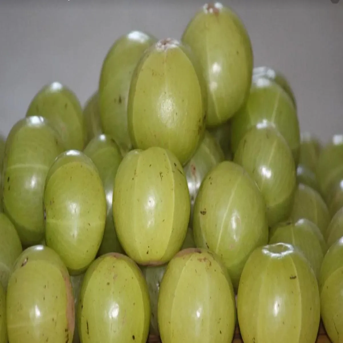 Amlabenefits Amlabenefits Din Aanvla Khane Amlabenefits