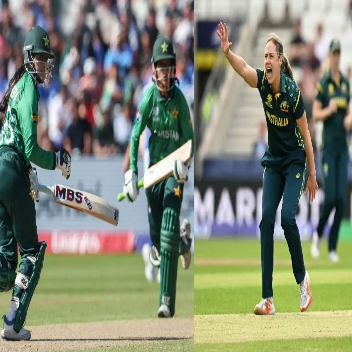 Cricket World Cup 113 Cricket World