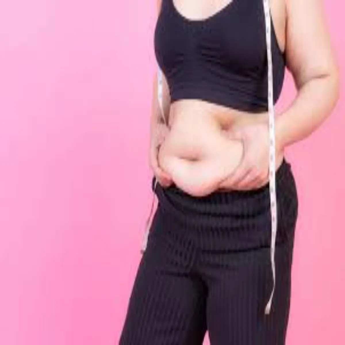 Belly Fat Belly Fat Pet Chrbi
