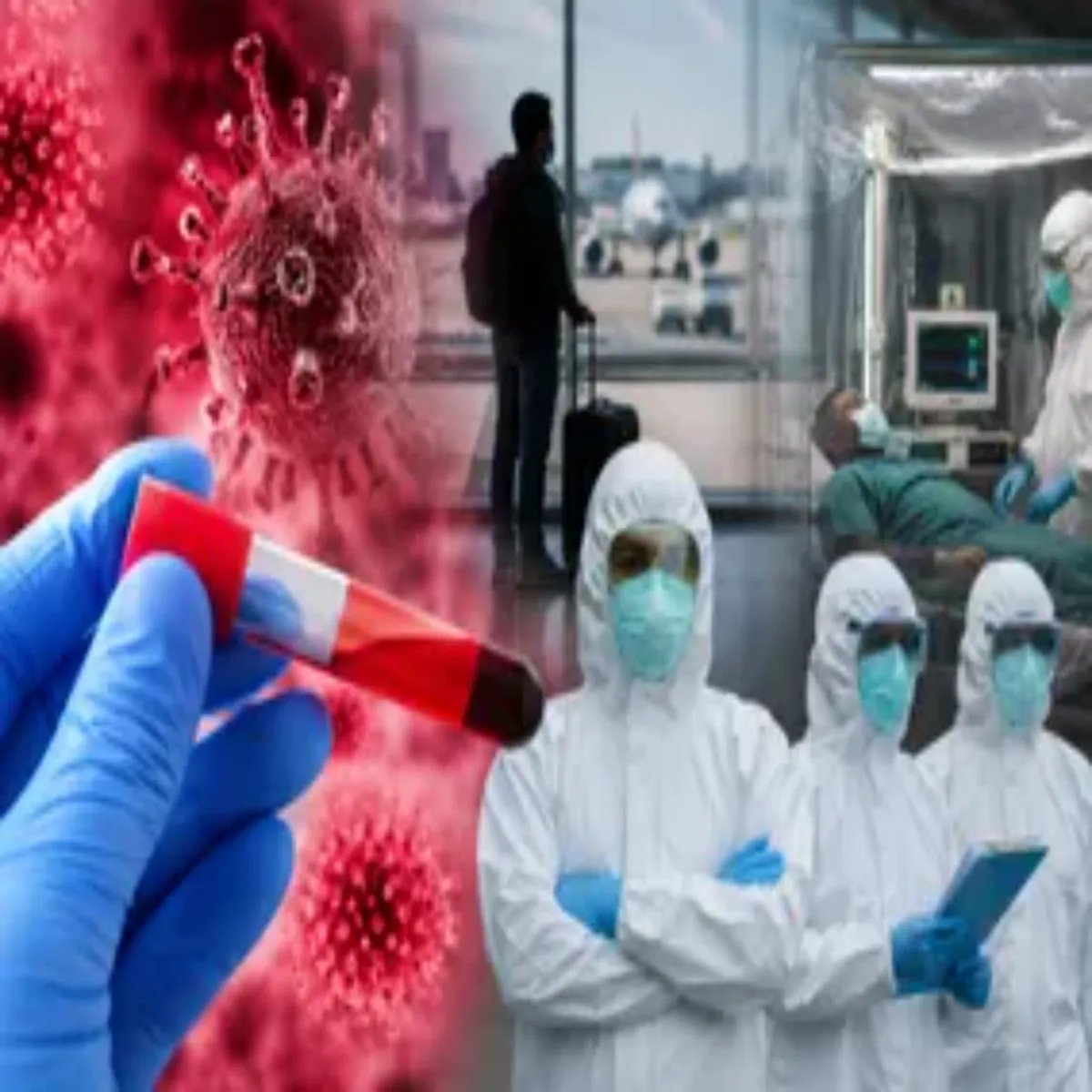 Ebola Virus Ebola Virus Bdhte Vaishvik