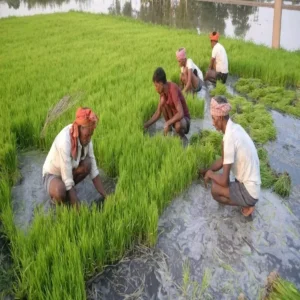 bihar farm improvement awareness campaign