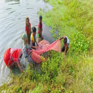 bihar fisheries assistant recruitment