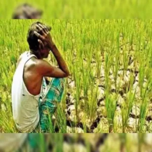 bihar monsoon rainfall deficit heatwave impact