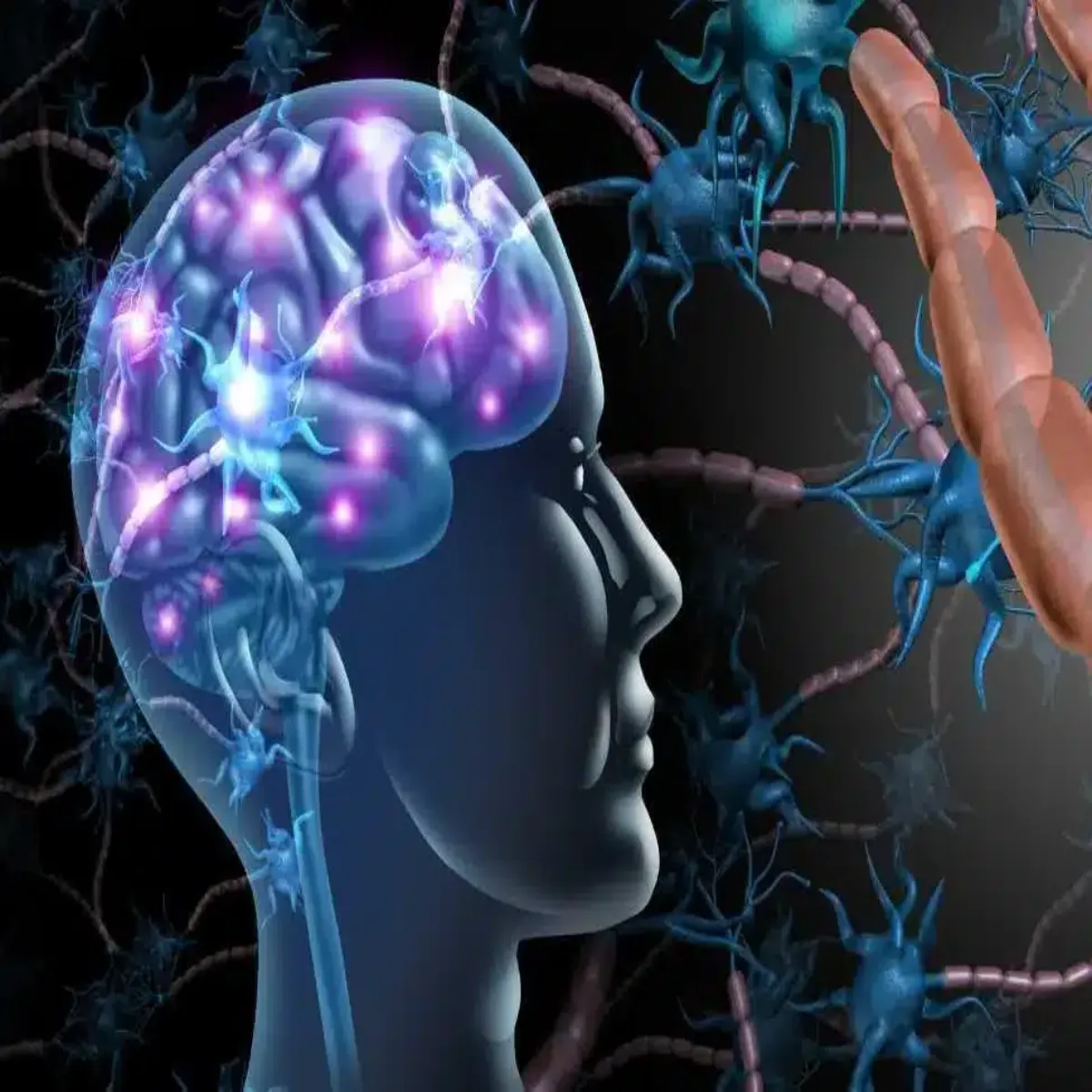 Brain Health Brain Health Adhyyn Men