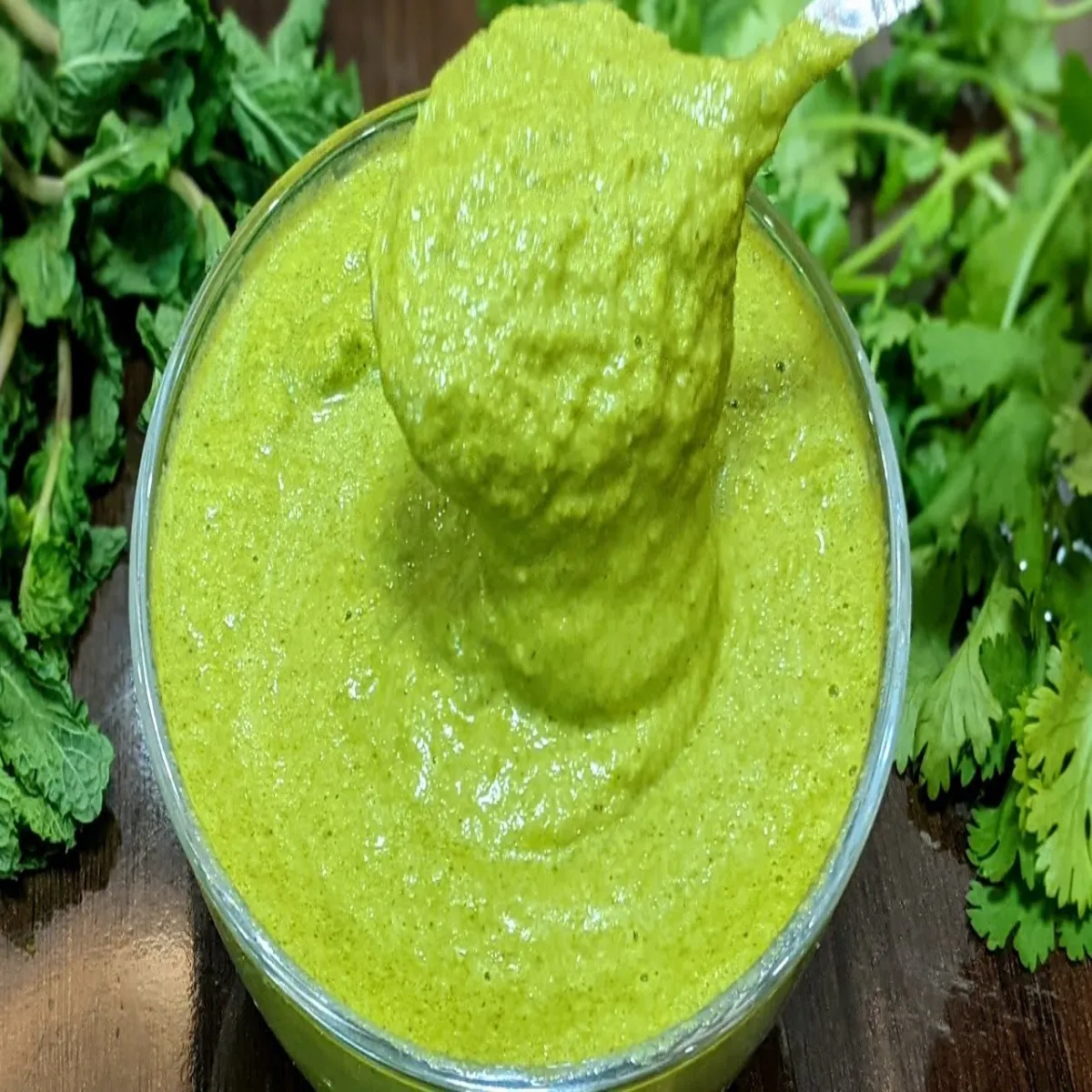 Chutney Recipe Chutney Recipe Dhniya Pudina