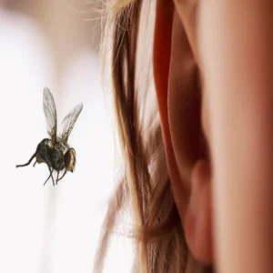 ear care insect removal safety tips