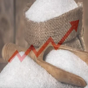 ethanol blending sugar stocks rally