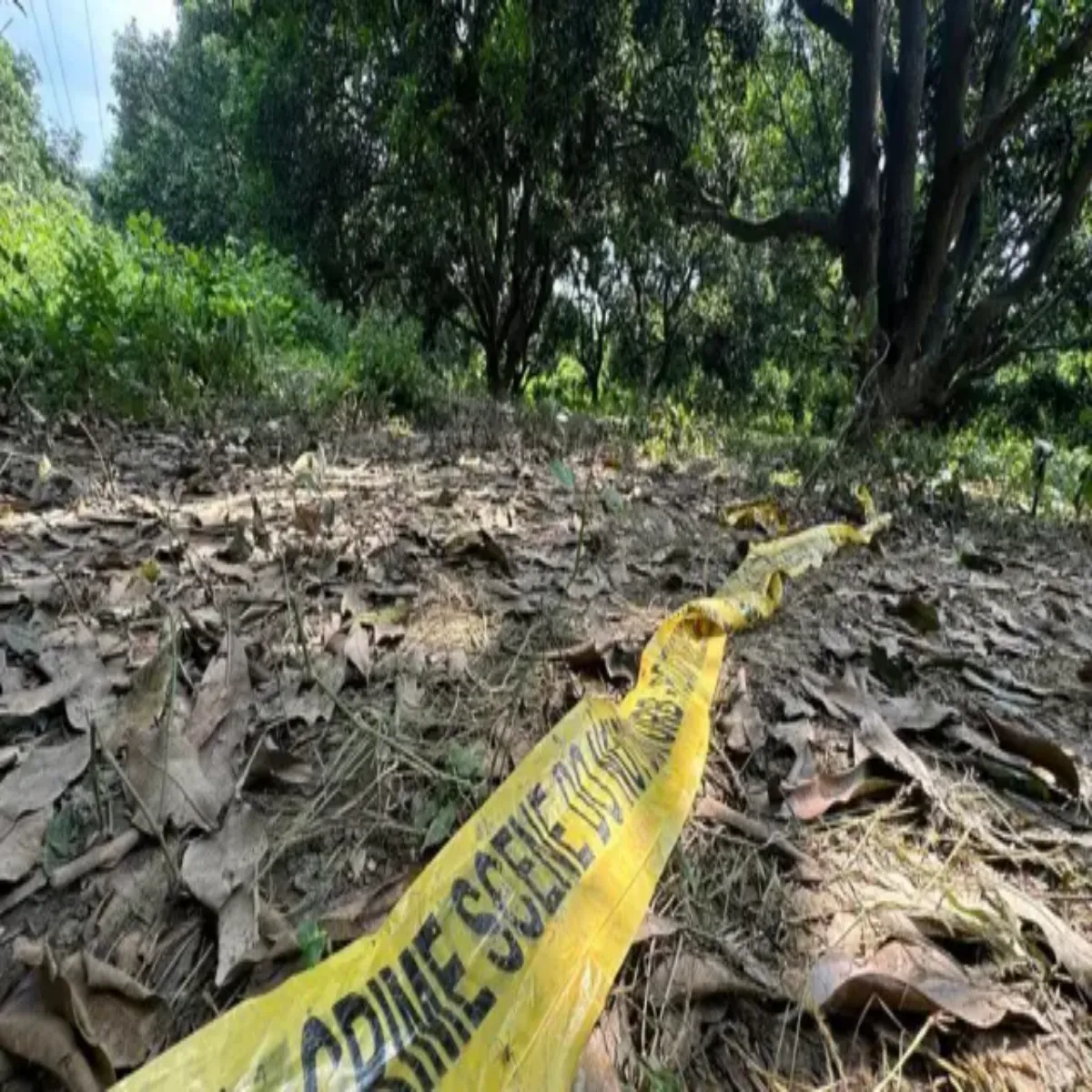 Crimeinvestigation Crimeinvestigation Gorkhpur Men Bchchon Huee