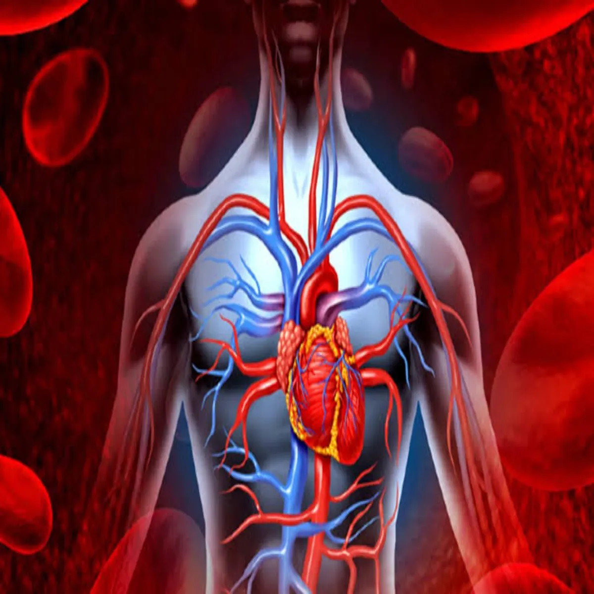 Heart Health Heart Health Nakhun Ghr