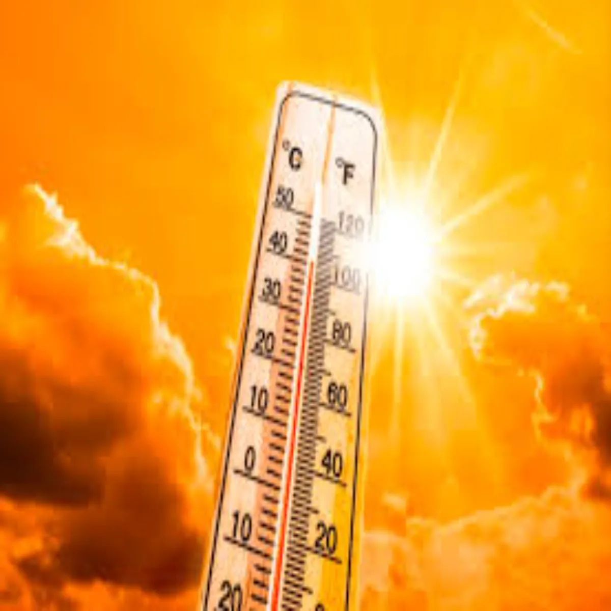 Heatwavealert Heatwavealert Tapman Men Uchhal Agle