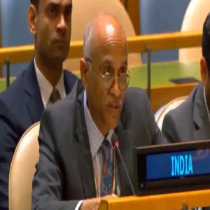 india raises concerns at unsc meeting