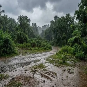 jharkhand rain wind weather alert