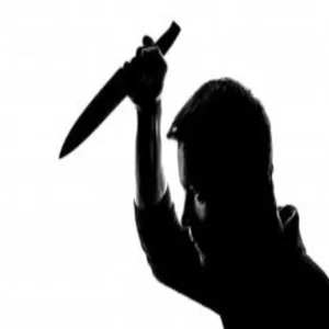 kanpur businessman murder wife arrest