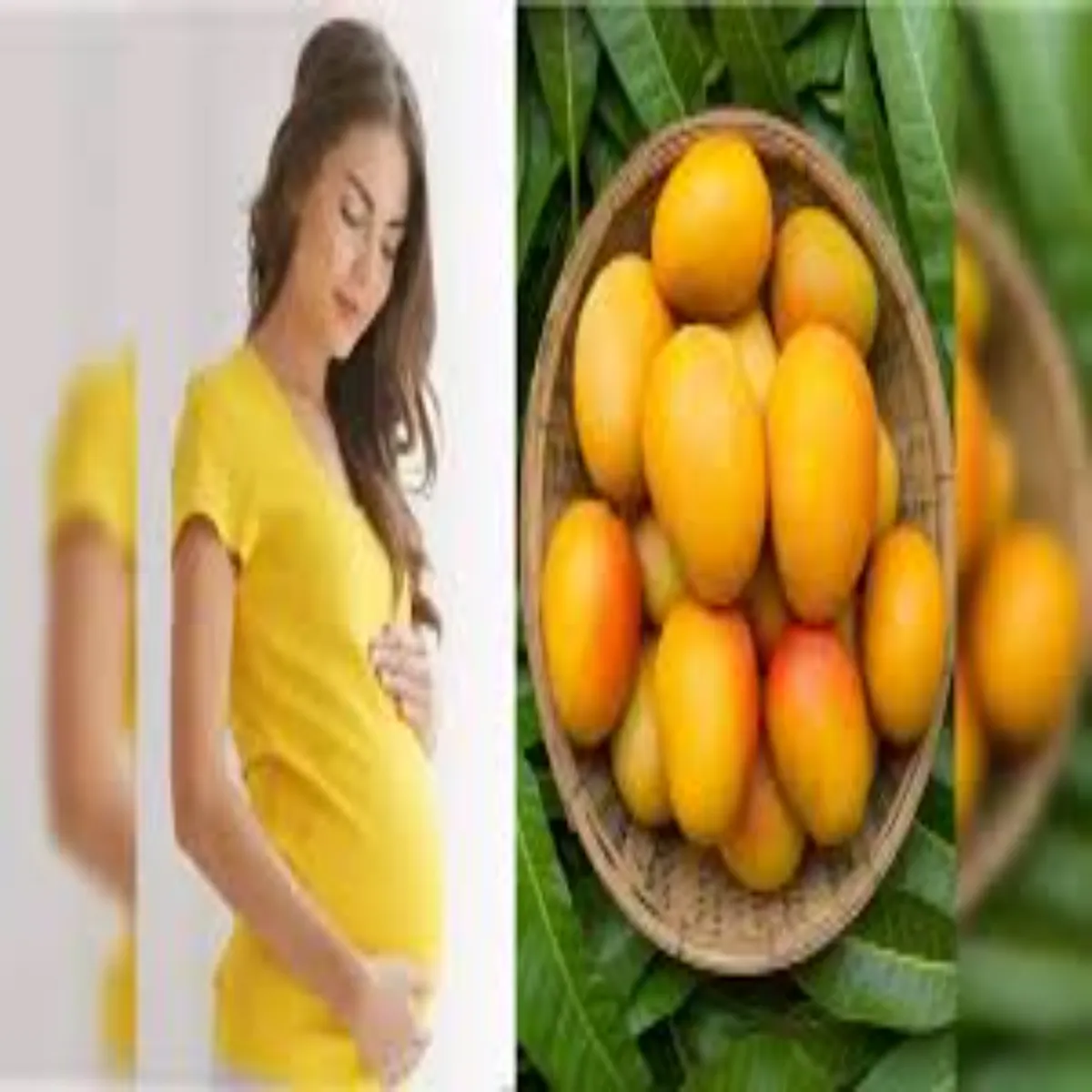 Mango Pregnancy Mango Pregnancy Janen Grbhavstha