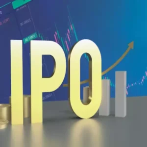 meritronix ipo delivers multibagger returns
