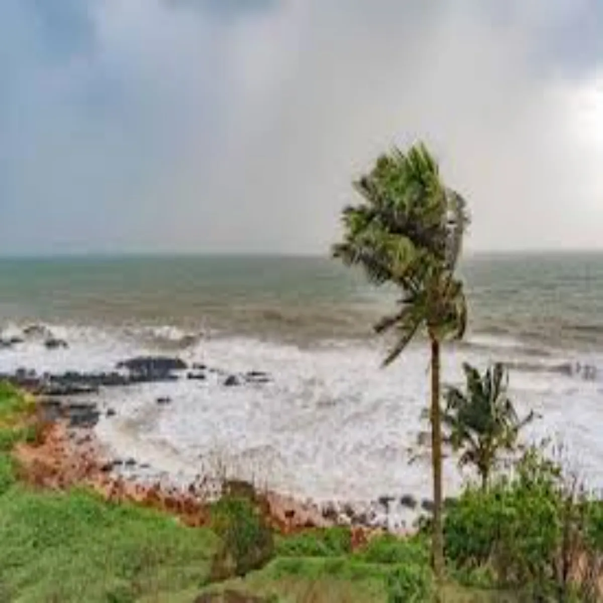 Monsoon Update Monsoon Update Kerl Men