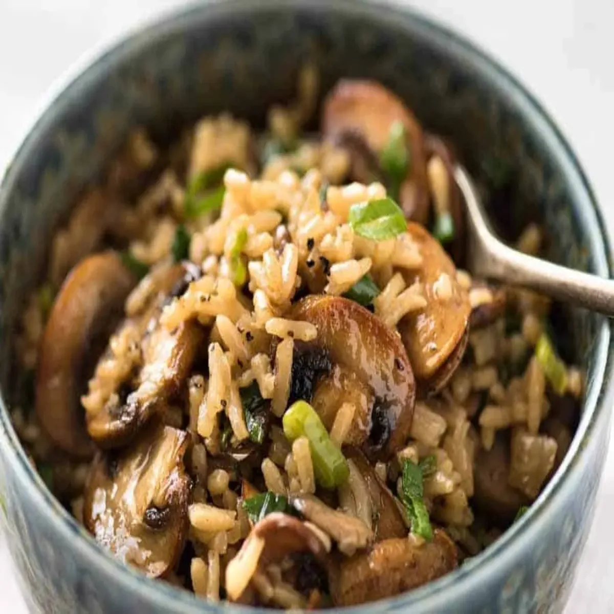 Mushroomrice Mushroomrice Bche Hue Chavl Taiyar