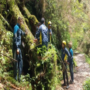 pindari glacier missing engineer search