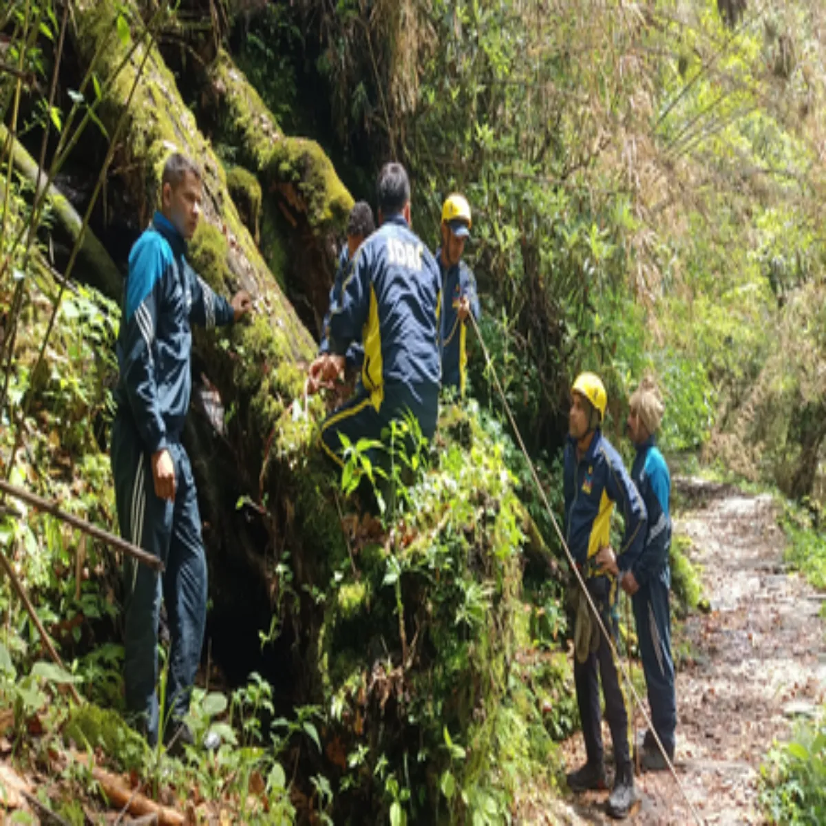 Trekking News Trekking News Pindari Gleshiyr