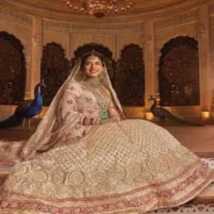 radhika ambani favorite film impact