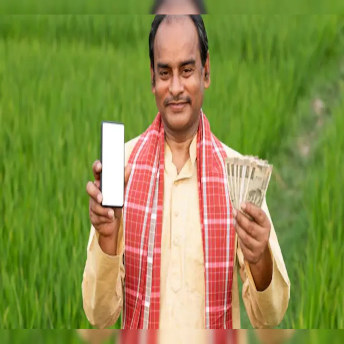 Kisancreditcard Kisancreditcard Aarbiaaee Kesisi Niymon Men