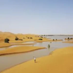 sahara desert truck tragedy niger