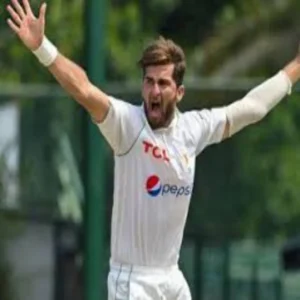 shaheen afridi pakistan pitch debate