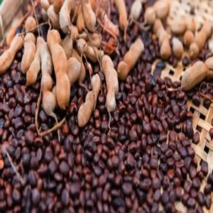tamarind seeds health benefits and uses