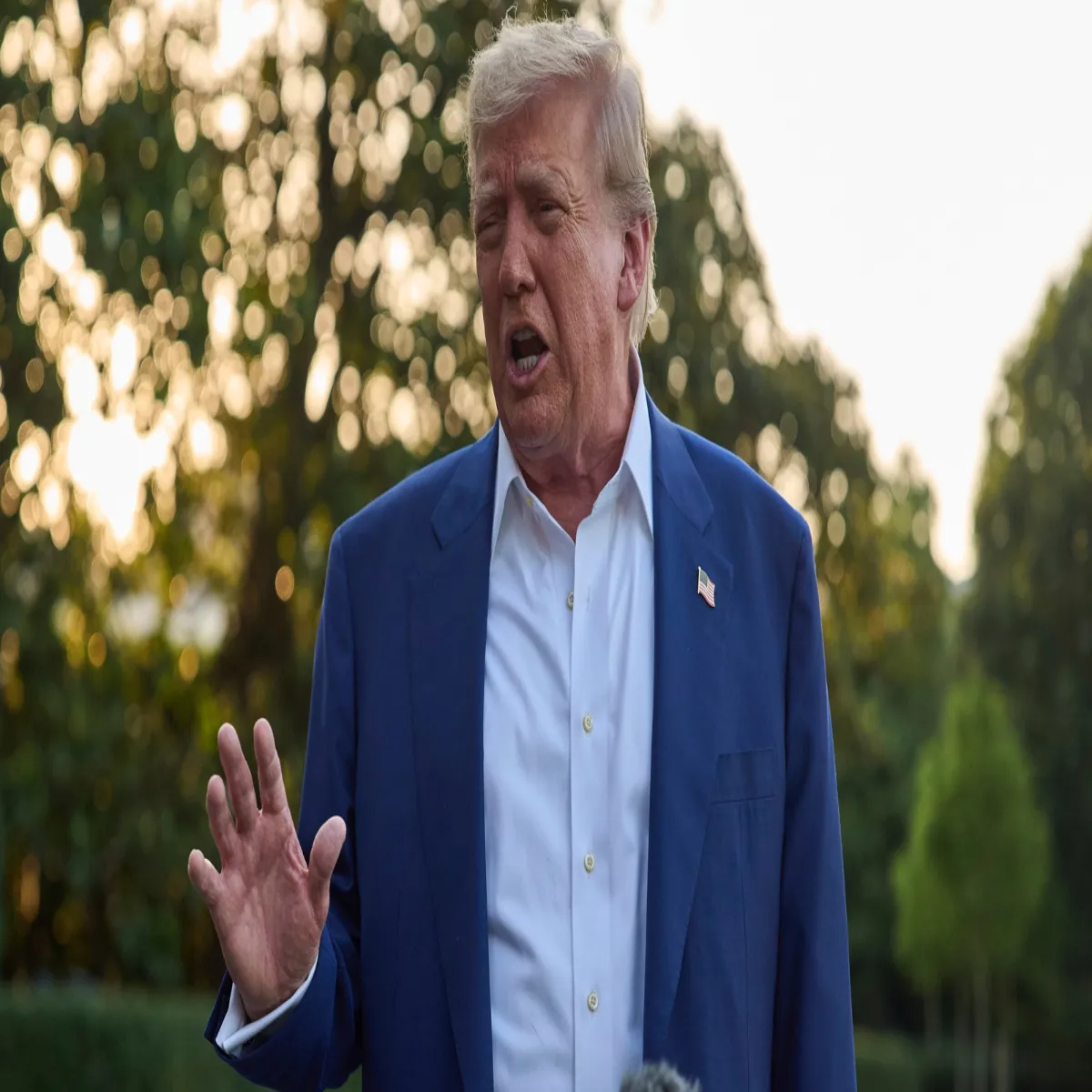 Trump Statement Trump Statement Amerika Eeran