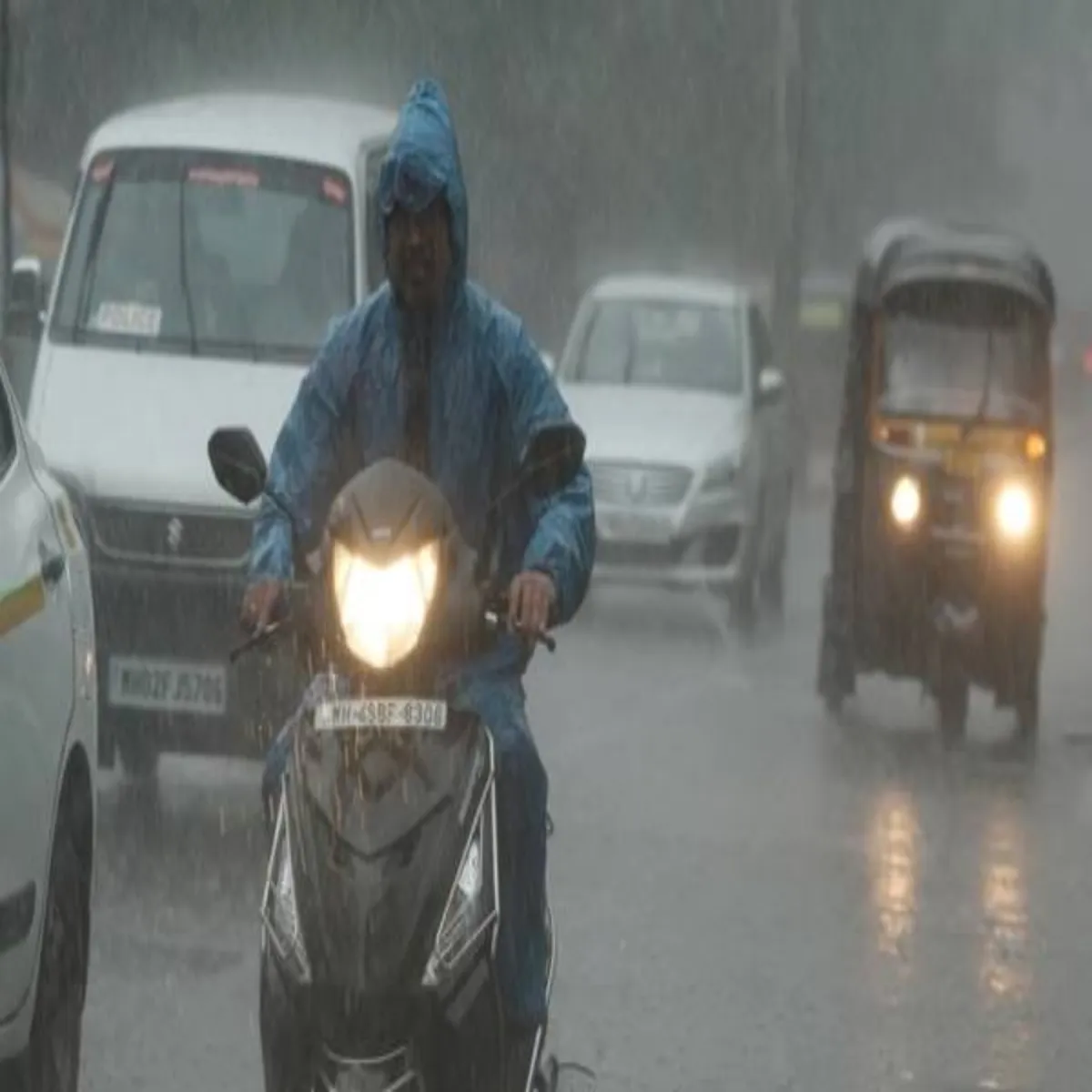 Monsoon Monsoon Yupi Men Grmi Khr