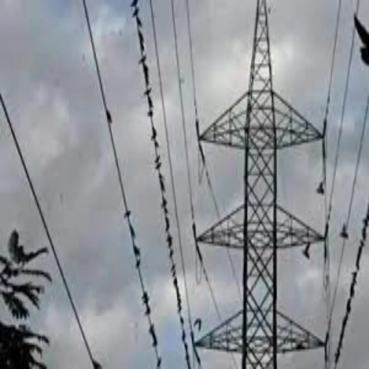 Power Crisis Power Crisis Bdhti Grmi