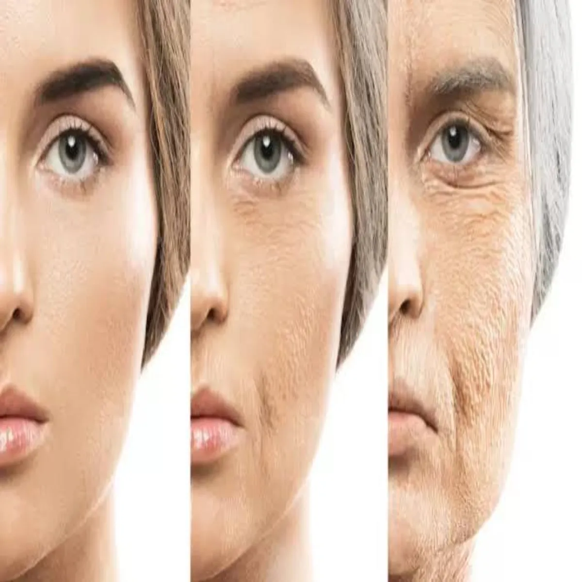 Anti Aging Anti Aging Hain Rojmrra