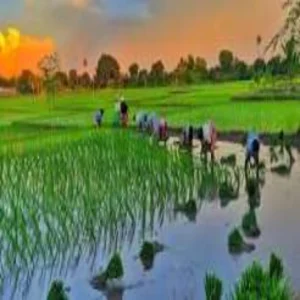 bihar monsoon rainfall update