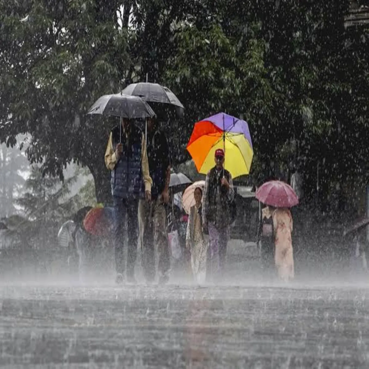 Weather Weather Bihar Aath Jilon Men