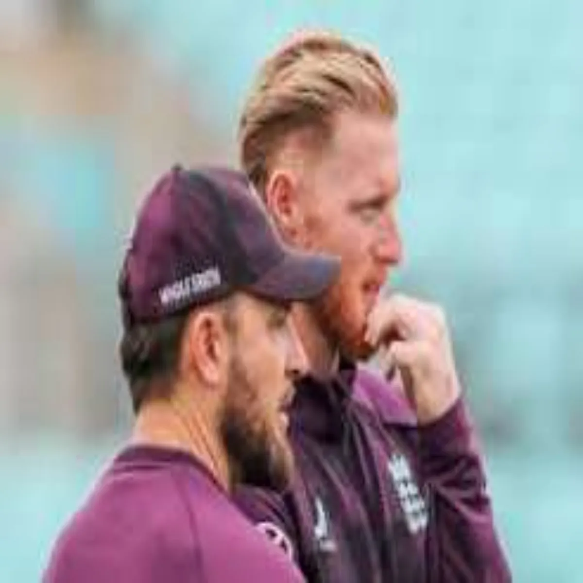 Cricket Cricket Test Tim Htae Jane