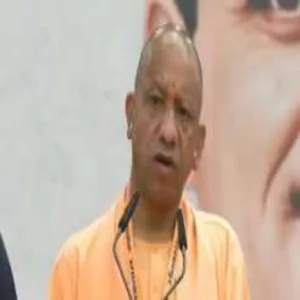cm yogi vip pass probe